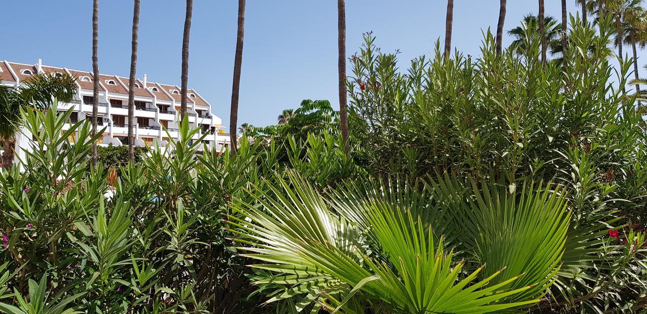 Atlantic Apartment Las Americas Playa de las Americas (Tenerife) Exterior photo